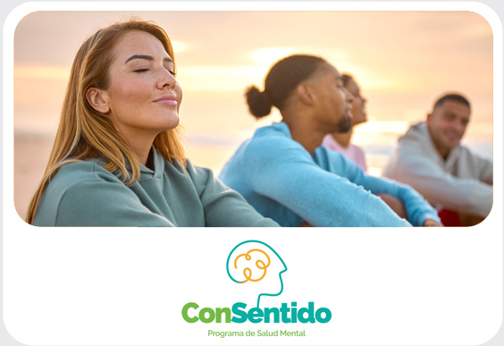 Logo Consentido